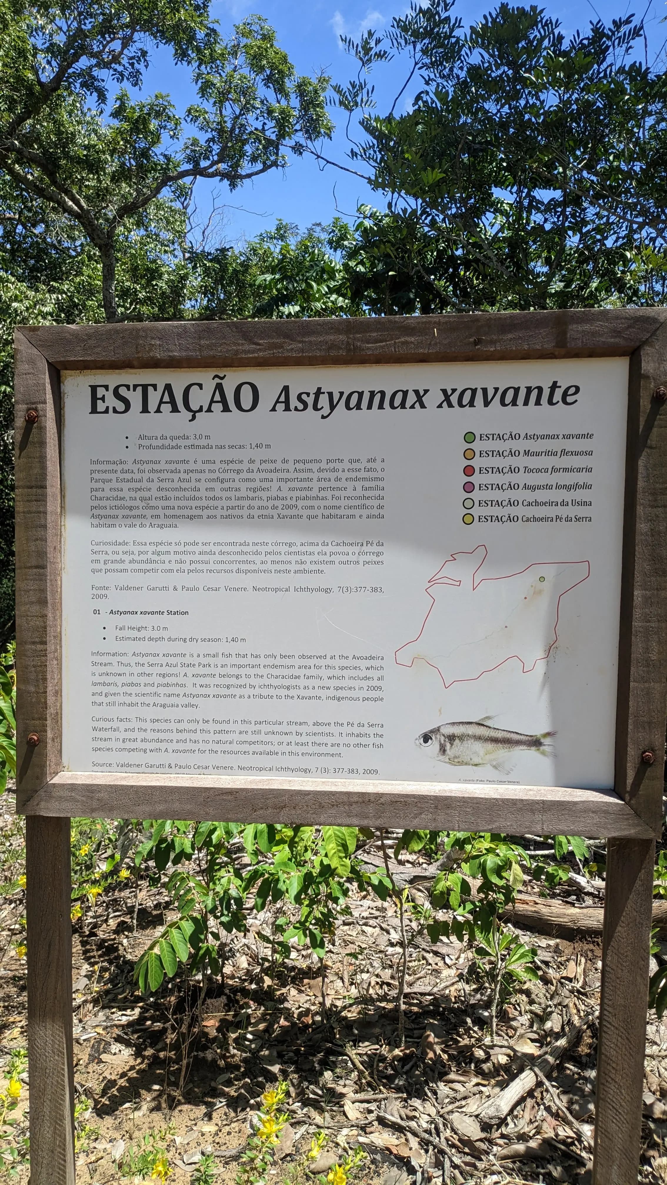 Totem informativo da Estação Astyanax xavante sobre o peixe endêmico encontrado apenas no parque
