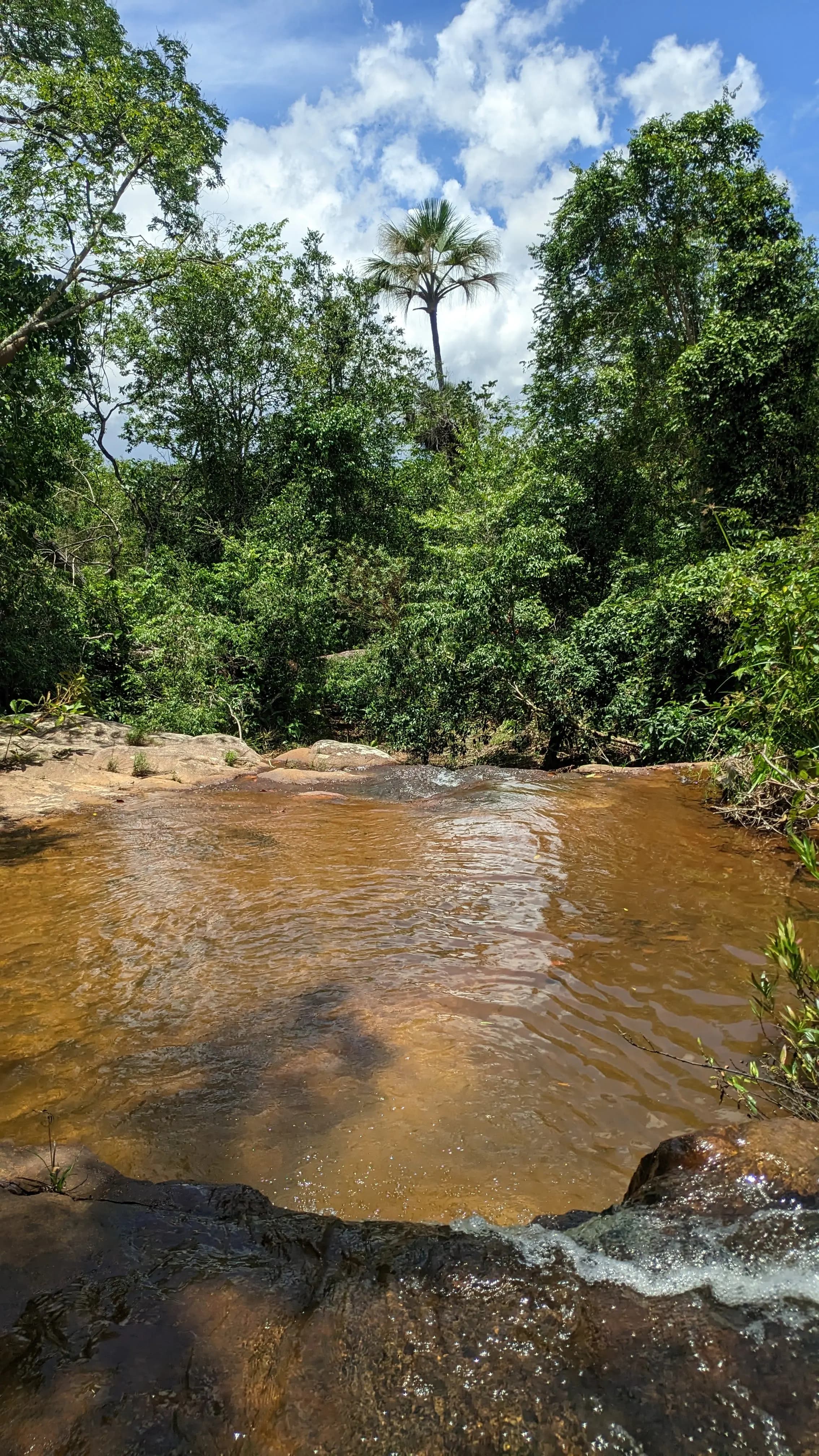 Cachoeira com pequena queda d'água e grande volume formando uma piscina natural cercada por vegetação de Cerrado